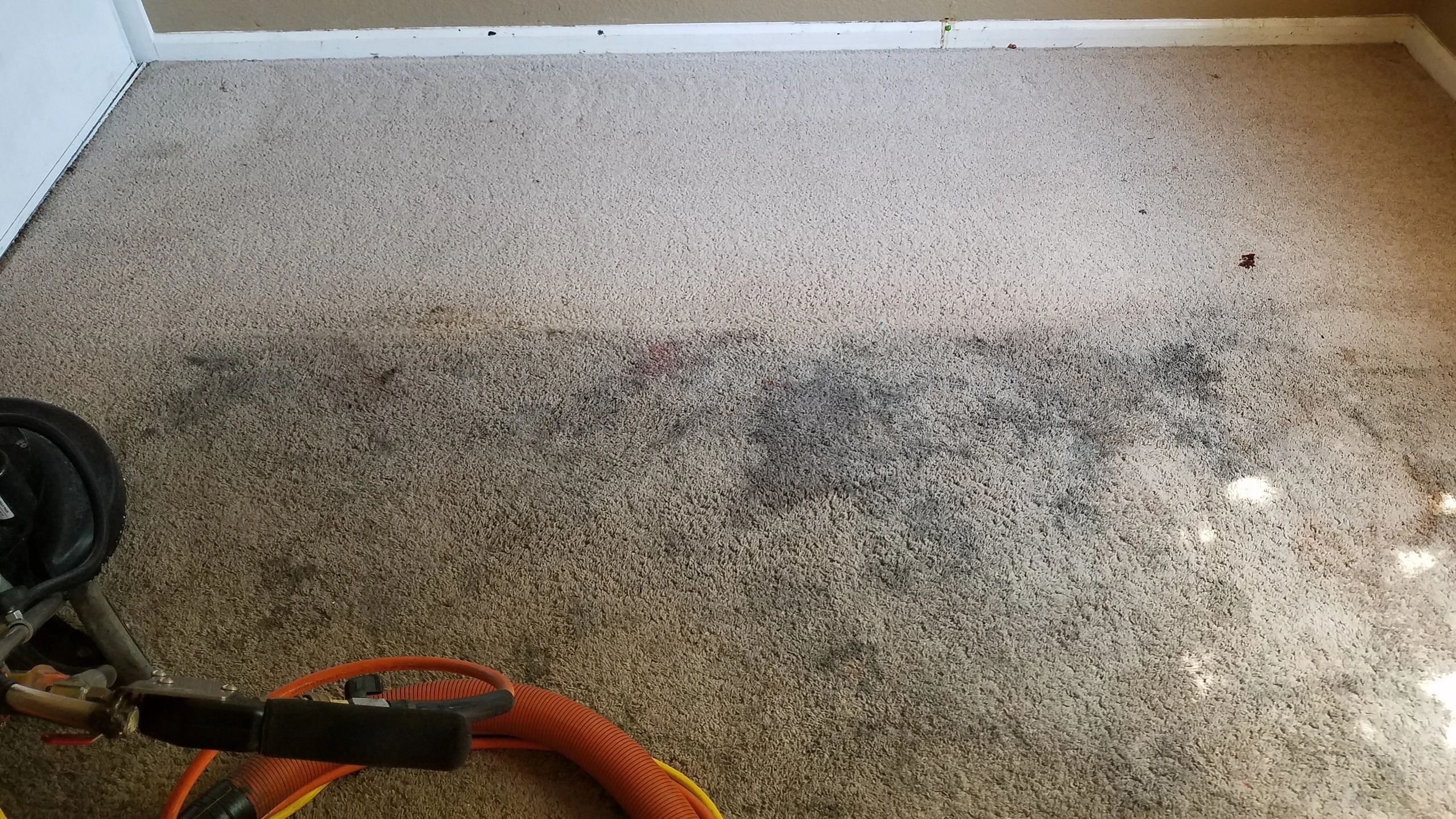 Stained carpet before cleaning